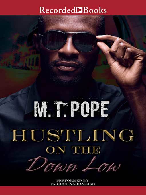 Title details for Hustling on the Down Low by M.T. Pope - Available